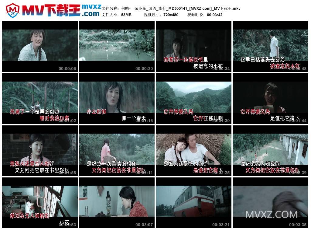 何晴-一朵小花_国语_流行_MD500141